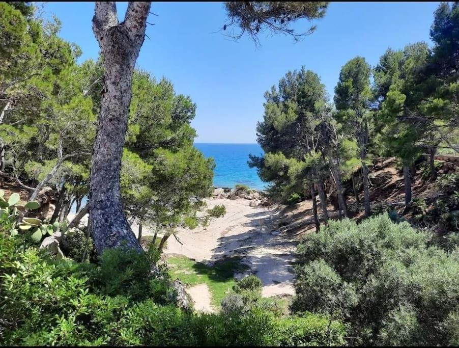 Villa Climatisee Bord De Mer Avec Piscine Privee Miami Platja  Exterior foto
